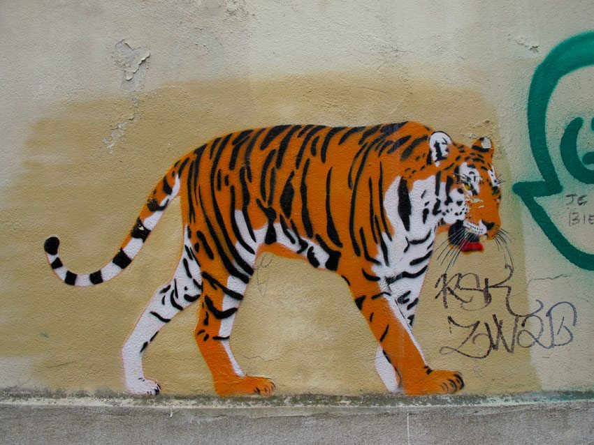 Paris Animals Tiger
