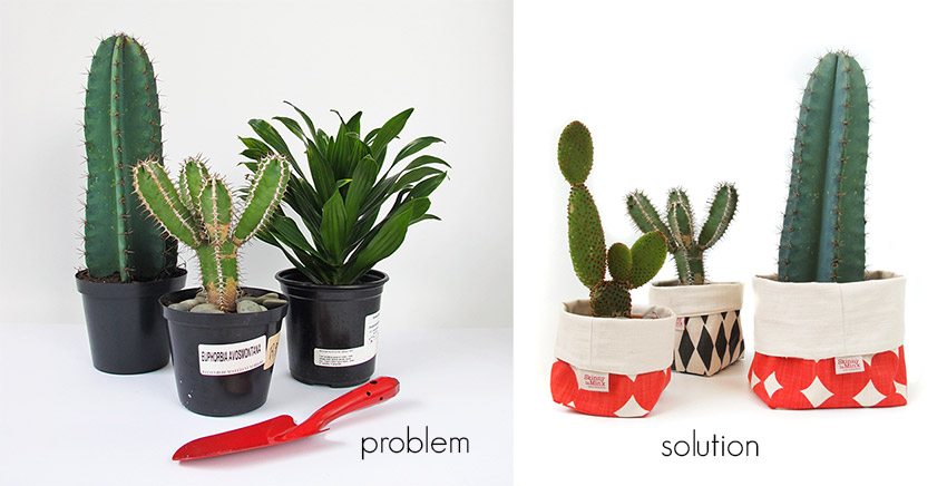 Plants Solution