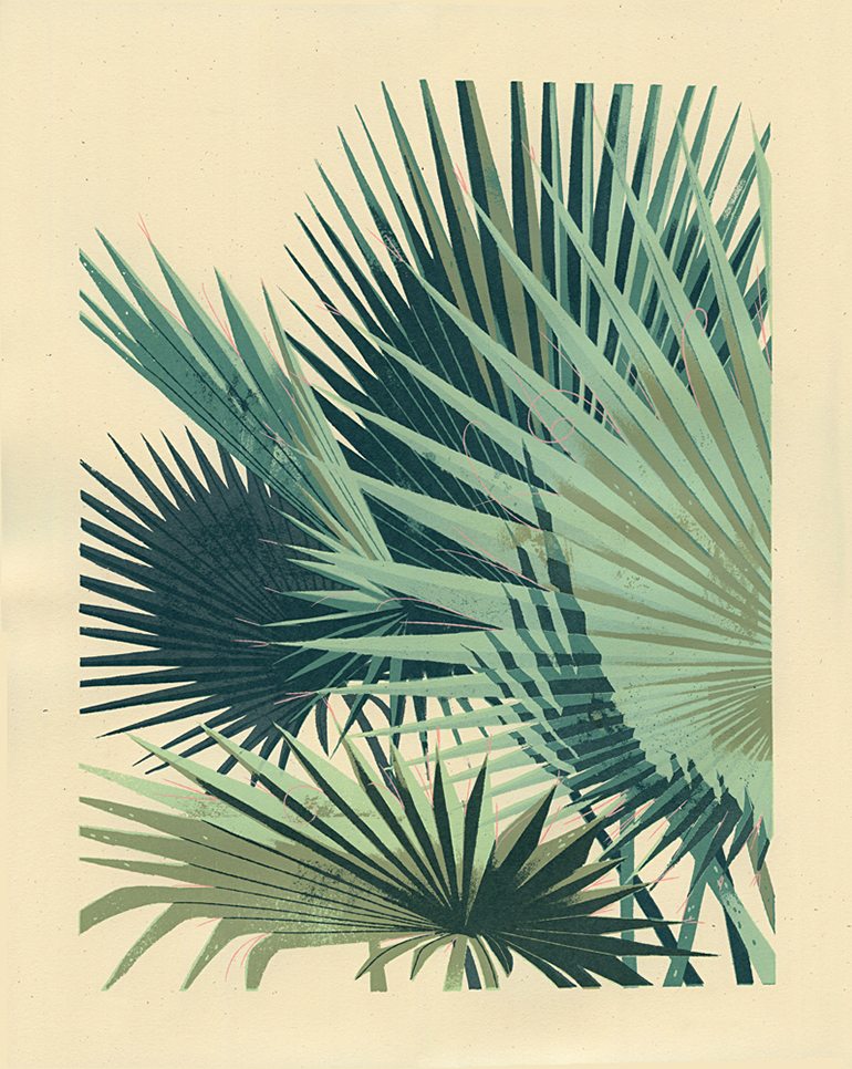 Chris Turnham - Palm Plant 2
