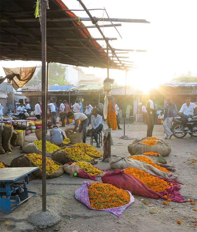 Jaipur 2015 Flower market — Skinny laMinx