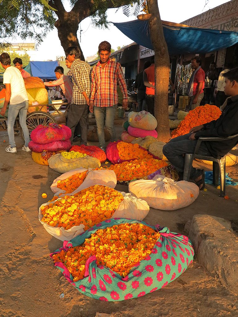 Colour Flower Market