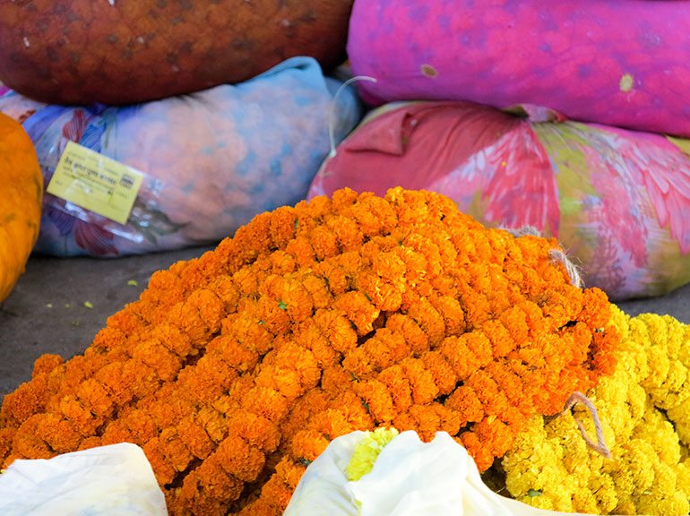 Colour-flower-market07