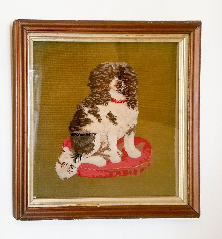 Strange-3D-embroidered-dog