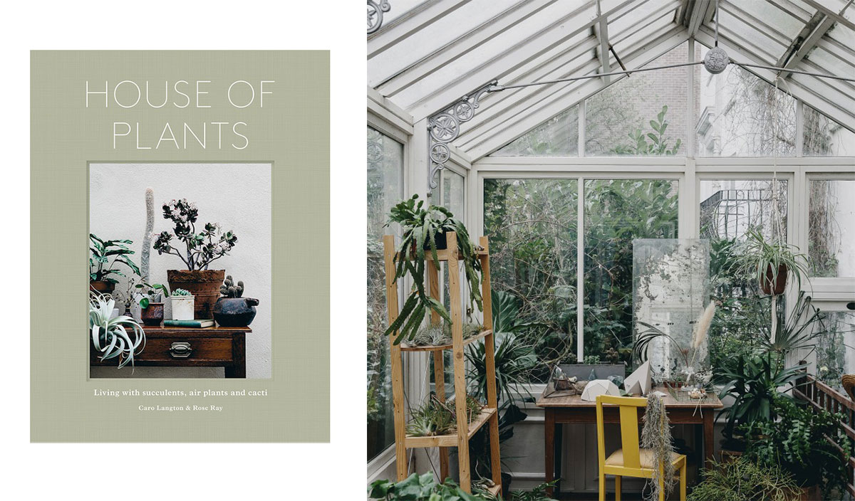 House Of Plants Book