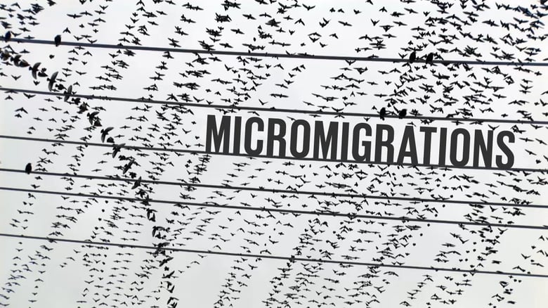 Micromigrations
